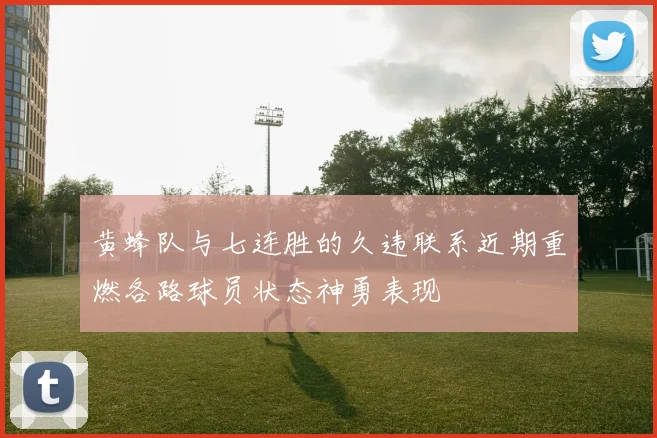黄蜂队与七连胜的久违联系近期重燃各路球员状态神勇表现