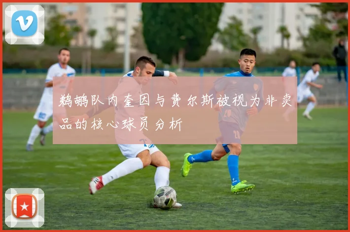 鹈鹕队内奎因与费尔斯被视为非卖品的核心球员分析