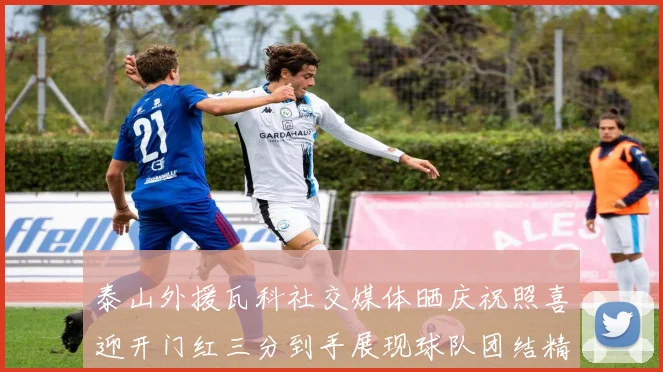 泰山外援瓦科社交媒体晒庆祝照喜迎开门红三分到手展现球队团结精神