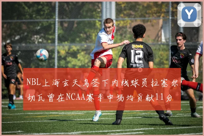NBL上海玄天鸟签下内线球员拉塞尔切瓦曾在NCAA赛季中场均贡献11分8篮板